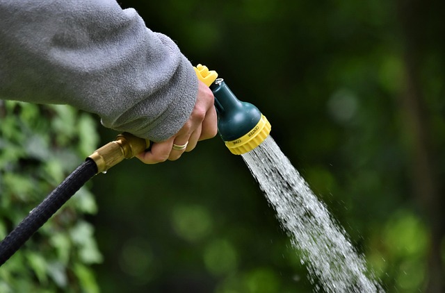 garden tools plants outdoor learning