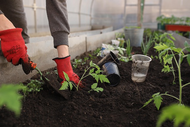 garden compost mulch soil tools